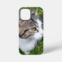 Custom pet animal image or family photo