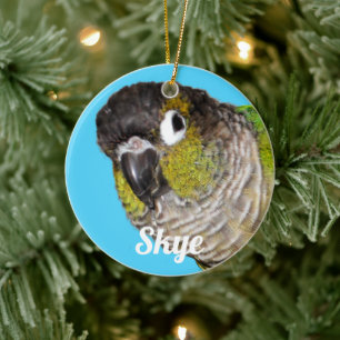 Custom Pet Bird Photo Name Ceramic Ornament