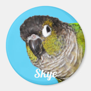 Custom Pet Bird Photo Name Magnet