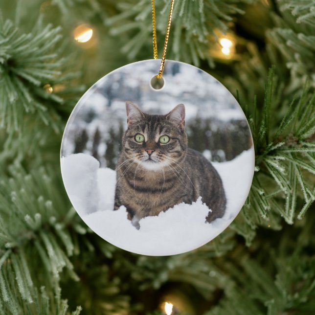 Custom Pet Cat 2 Photo Christmas Ceramic Ornament (Tree)