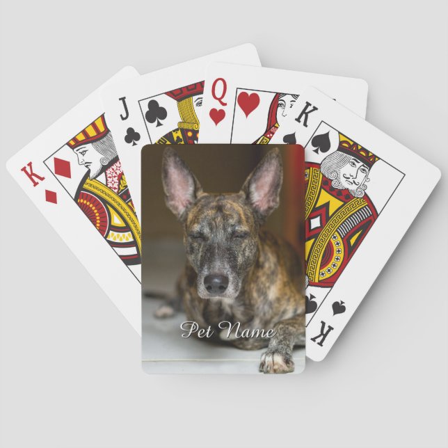Custom Pet Cat Dog Photo  Playing Cards (Back)