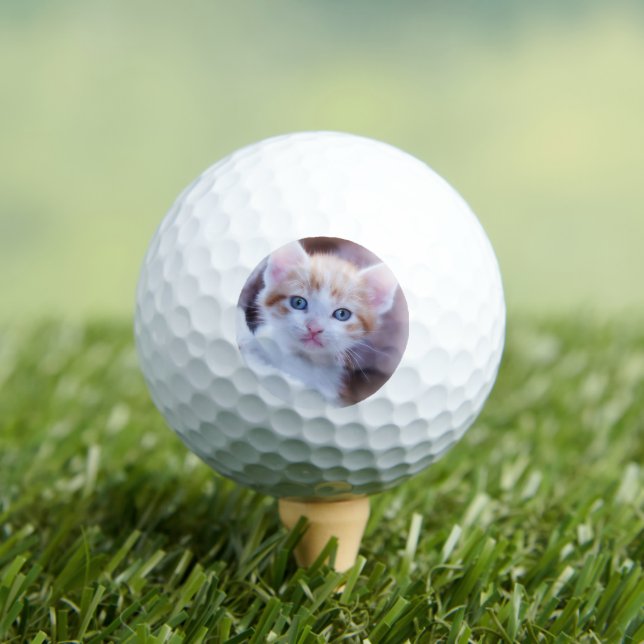 Custom Pet Cat Photo Modern Golf Balls (Insitu Tee)