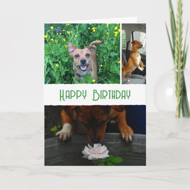 Custom pet (dog) photo and message card (Front)