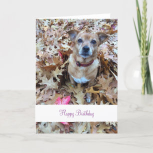 Custom pet (dog) photo and message card