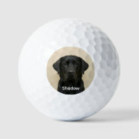 Custom Pet Dog Photo Black Labrador Personalized