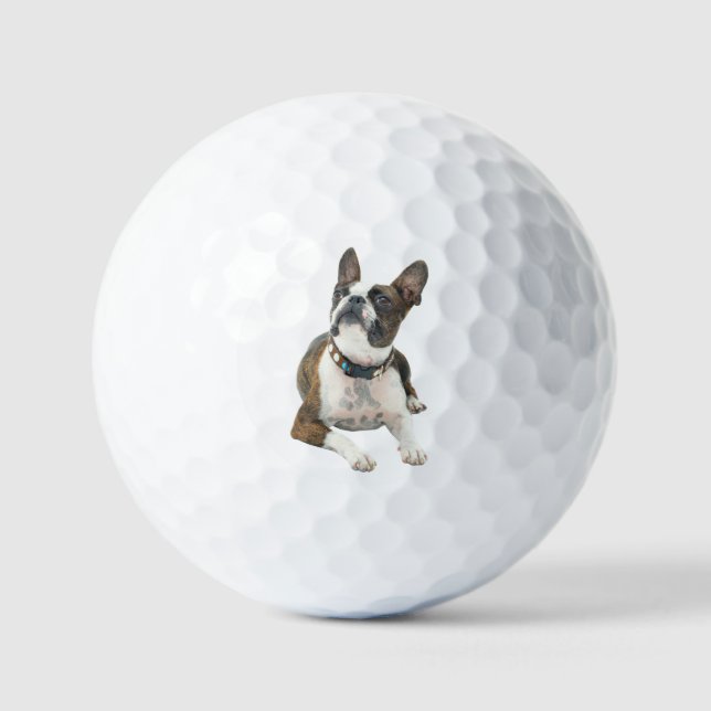 Custom Pet Dog Photo Modern Personalized Golf Ball (Front)