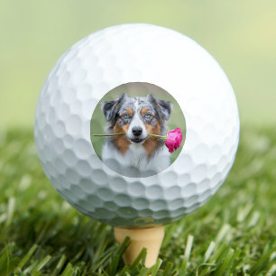 Custom Pet Dog Photo Personalised Golf Balls