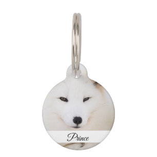 Custom pet dog photo your animal with name tag