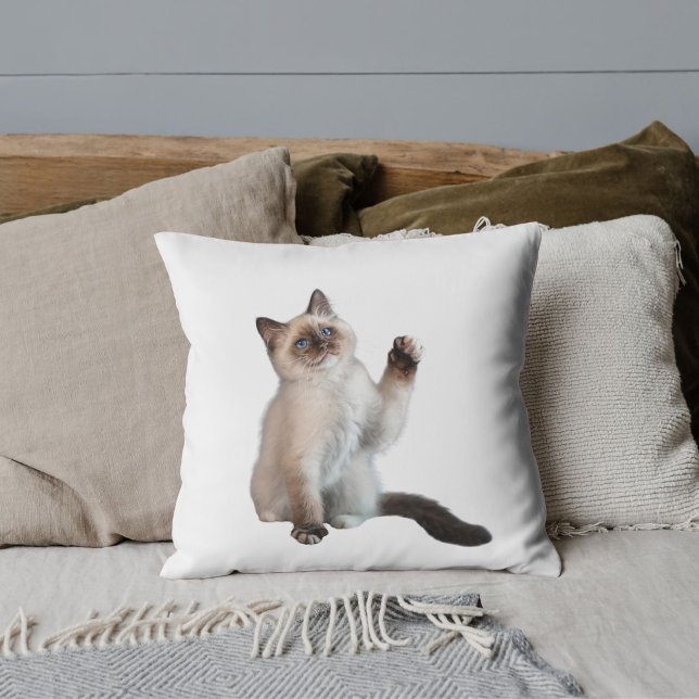 Custom Pet Lover Funny Siamese Cat Photo White  Cushion (Creator Uploaded)