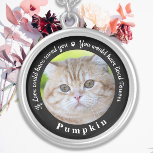 Custom Pet Memorial Pet Loss Keepsake Cat Photo Silver Plated Necklace