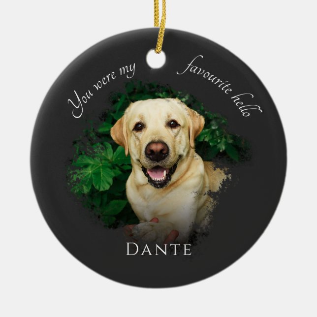 Custom Pet Memorial Photography Grey Ceramic Ornament (Front)