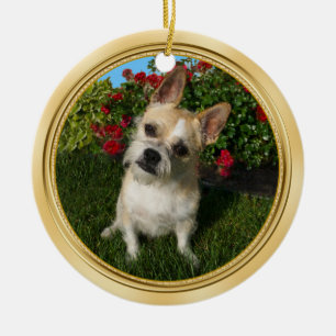 Custom Pet Ornament with Your 2 Pet PHOTOS