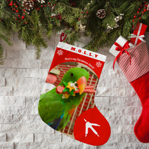Custom Pet Parrot Photo Holiday Red Personalized  Large Christmas Stocking