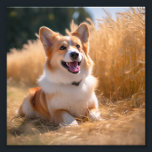 Custom Pet Photo<br><div class="desc">Turn your favourite photo into a unique, personalised gift! Use a family picture, a cute pet photo, or any image you love to create something special. Perfect for holidays or any occasion, these gifts are sure to make your loved ones smile. Note: The photo shown is just an example. Please...</div>