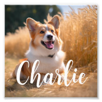 Custom Pet Photo