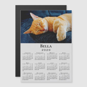 Custom Pet Photo and Name 2020 Calendar on Grey