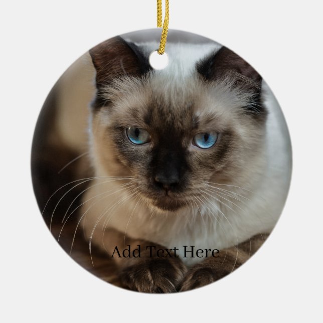 Custom Pet Photo and Name Ceramic Ornament (Front)