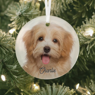 Custom Pet Photo and Name Christmas Holiday Glass Tree Decoration