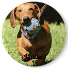 Custom Pet Photo and Text