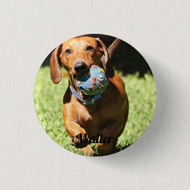 Custom Pet Photo and Text   3 Cm Round Badge (Front)