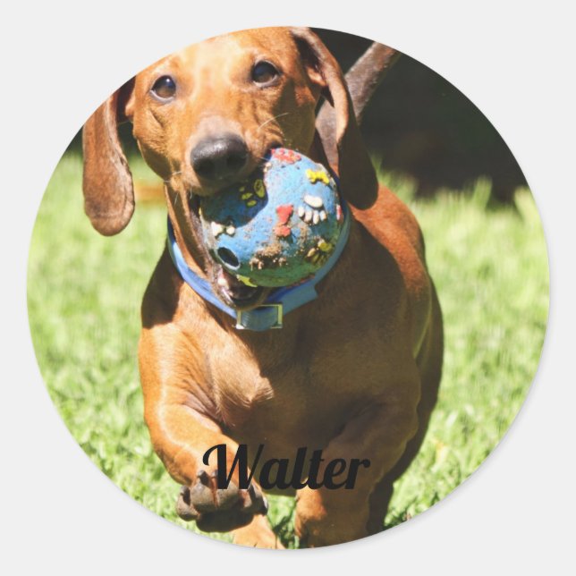 Custom Pet Photo and Text   Classic Round Sticker (Front)
