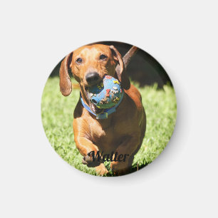 Custom Pet Photo and Text   Magnet