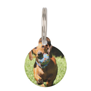 Custom Pet Photo and Text   Tag