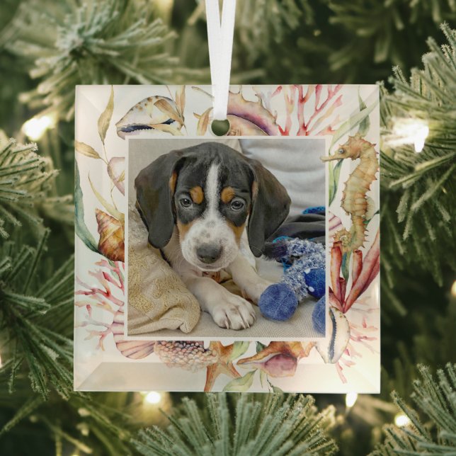 Custom Pet Photo Beach Christmas Glass Tree Decoration (Insitu)