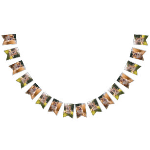 Custom Pet Photo Bunting
