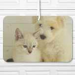 Custom Pet Photo Car Car Air Freshener<br><div class="desc">Upload your photo and create your personalised photo car air freshener. You can TRANSFER this DESIGN on other Zazzle products and adjust it to fit most of the Zazzle items. You can also click the CUSTOMIZE button to add, delete or change details like background colour, text, font or some graphics....</div>