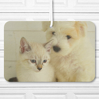 Custom Pet Photo Car Car Air Freshener