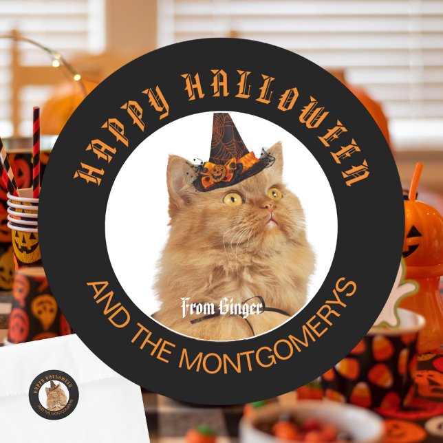 Custom Pet Photo Cat Lover Orange Black Halloween Classic Round Sticker (Creator Uploaded)