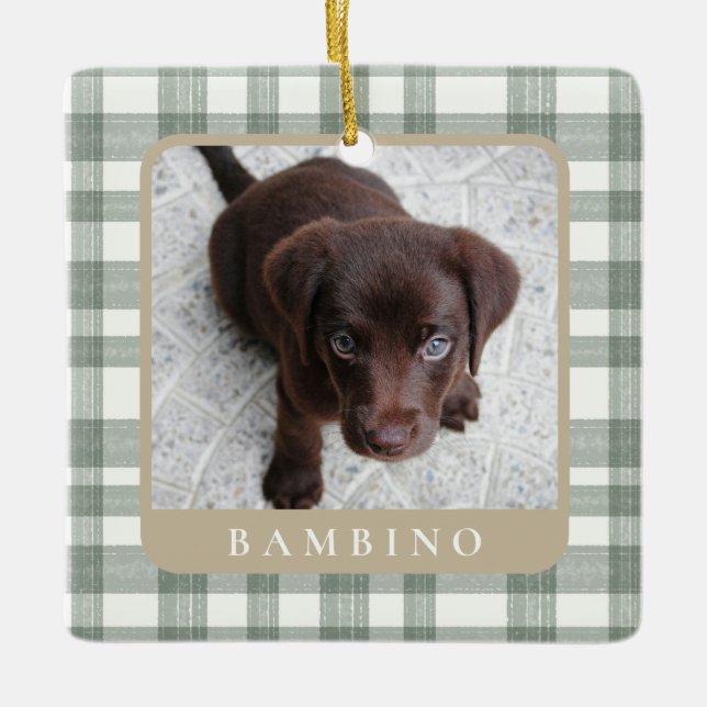 Custom Pet Photo Christmas Ornament (Front)