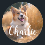 Custom Pet Photo Classic Round Sticker<br><div class="desc">Turn your favourite photo into a unique, personalised gift! Use a family picture, a cute pet photo, or any image you love to create something special. Perfect for holidays or any occasion, these gifts are sure to make your loved ones smile. Note: The photo shown is just an example. Please...</div>