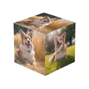 Custom Pet Photo Cube