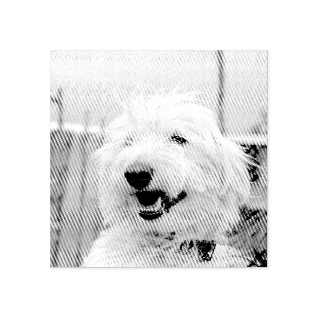 Custom Pet Photo Etched Style Rubber Stamp (Imprint)