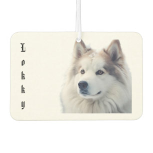 Custom Pet Photo Freshener