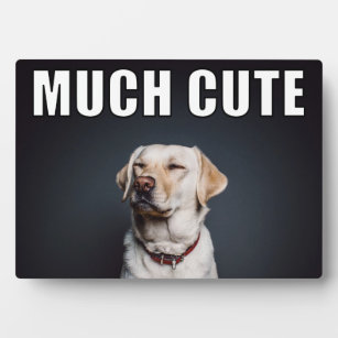 Custom Pet Photo Funny Much Cute Meme Style Plaque