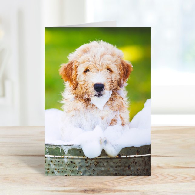 Custom Pet Photo Greeting Cards (Creator Uploaded)