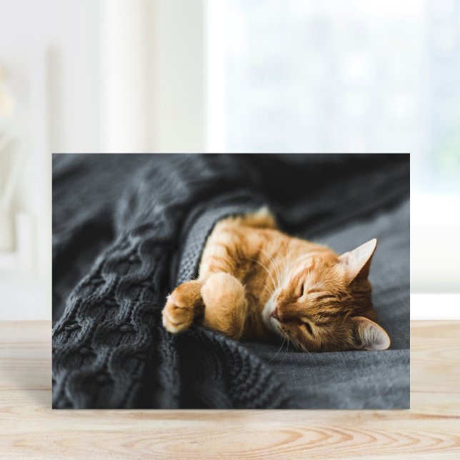 Custom Pet Photo Greeting Cards (Creator Uploaded)