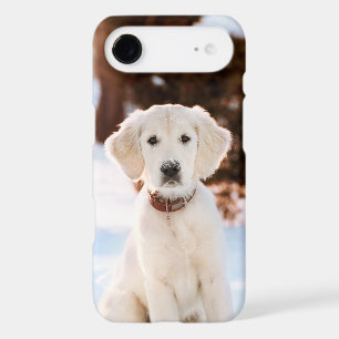 Custom Pet Photo Keepsake Gift Cute Dog or Cat