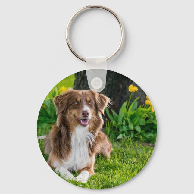 Custom Pet Photo Keychains For Dog Lovers (Front)