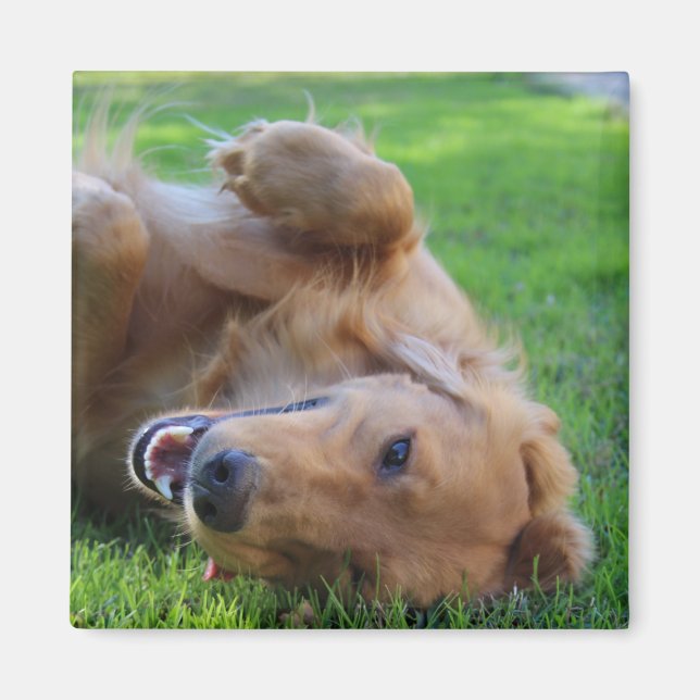 Custom Pet Photo Magnet (Front)