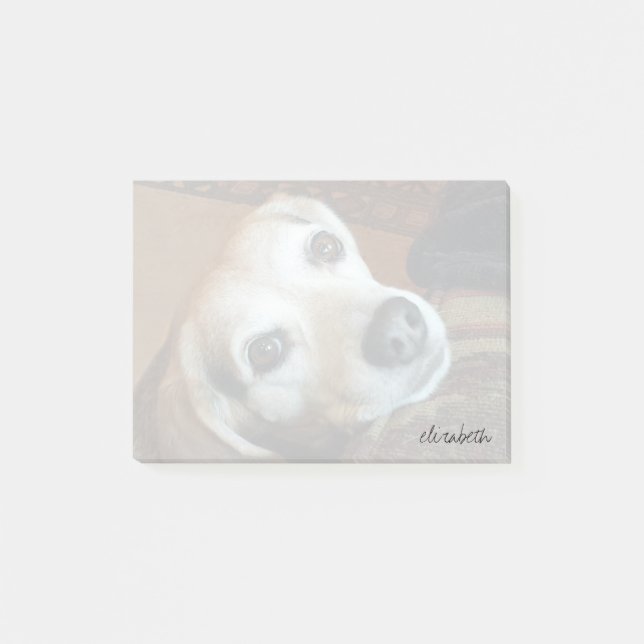 Custom Pet Photo Modern Trendy Script Typography Post-it Notes (Front)