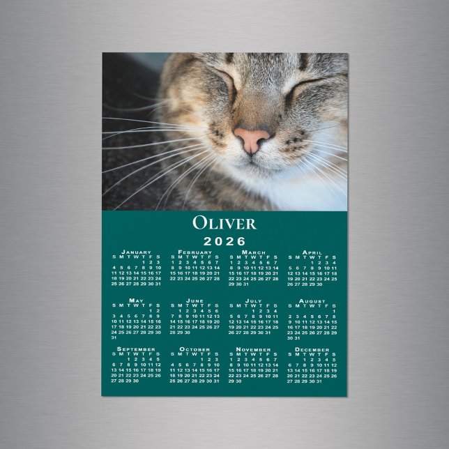 Custom Pet Photo Name 2026 Calendar Teal Magnet (Custom Pet Photo Name 2026 Calendar Teal Magnet in situ)