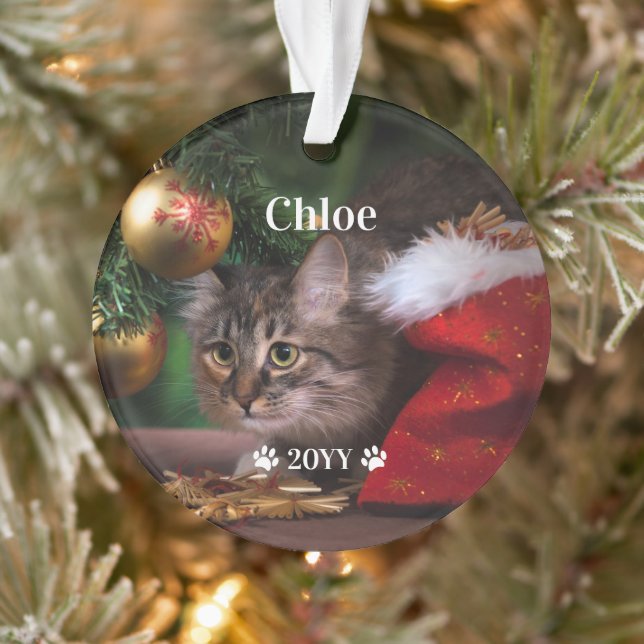 Custom Pet Photo Name and Year Holiday Ornament (Tree)