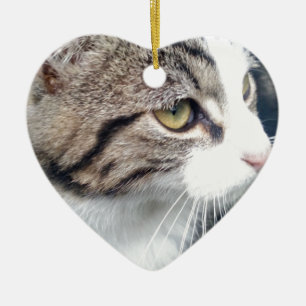 Custom pet photo ornament   Add your image here