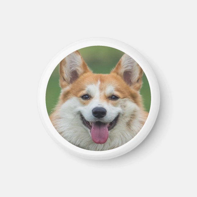 Custom Pet Photo Personalised  Magnet (Front)