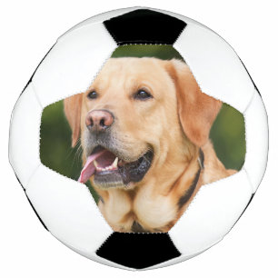 Custom Pet Photo Personalised  Soccer Ball