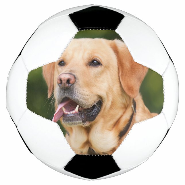 Custom Pet Photo Personalised  Soccer Ball (Front)